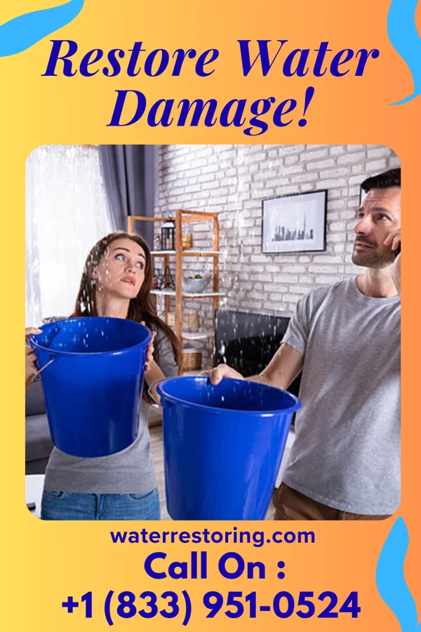 water restoration Western Sewage Cleanup Specialists Blair
