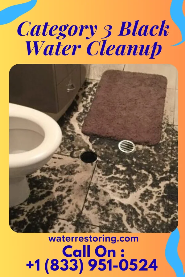 Category 3 Black Water Cleanup in Blair, OK